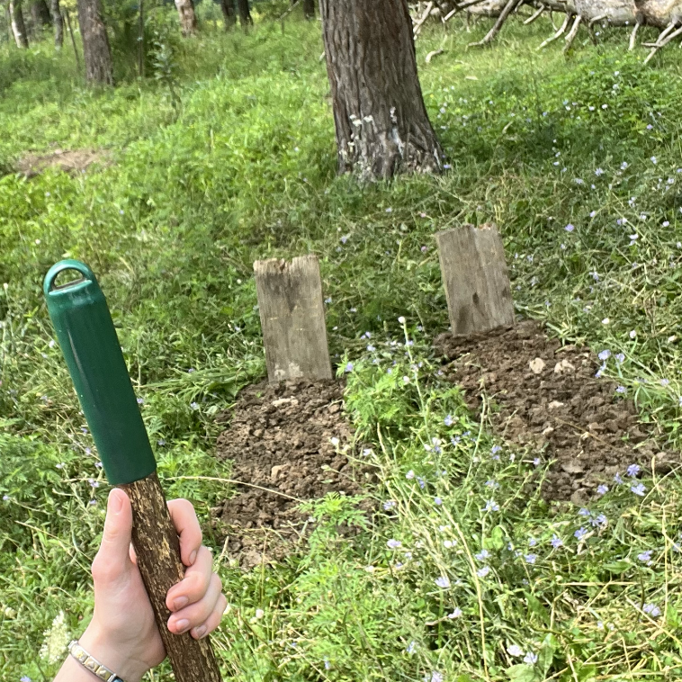 Wolfsbane graves and headstones